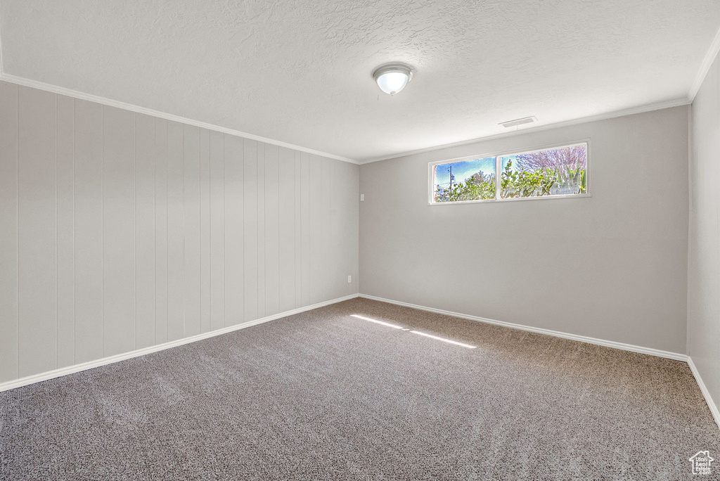 Carpeted empty room featuring ornamental molding and a textured ceiling