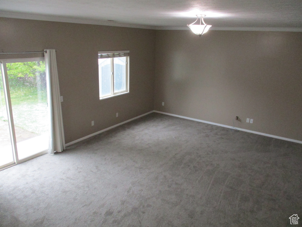 Empty room featuring ornamental molding, plenty of natural light, and carpet flooring