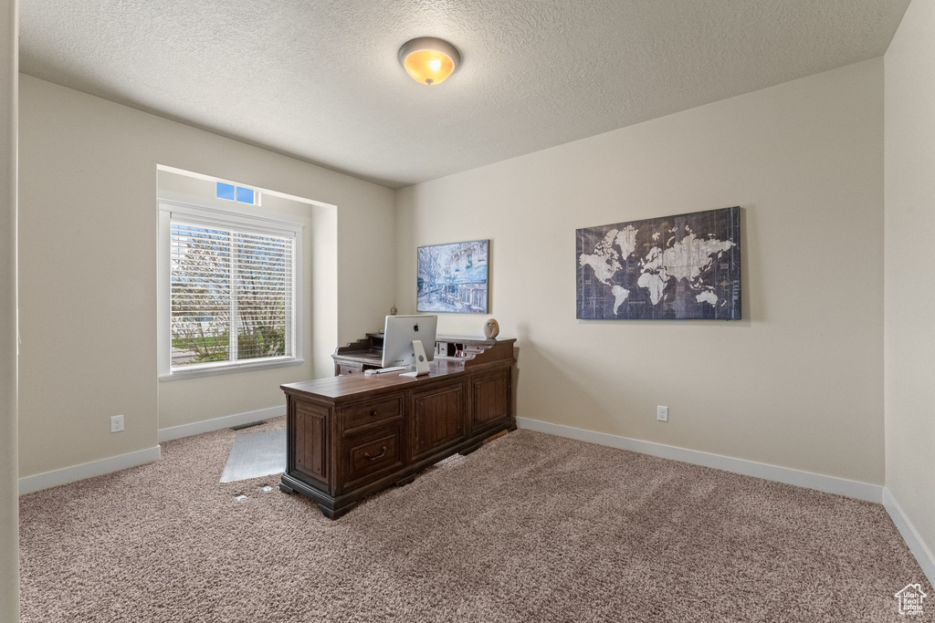 Carpeted home office with a textured ceiling