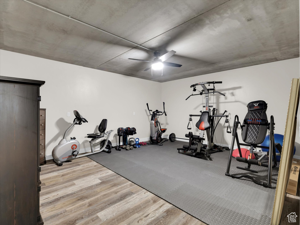 Workout room featuring light hardwood / wood-style floors and ceiling fan