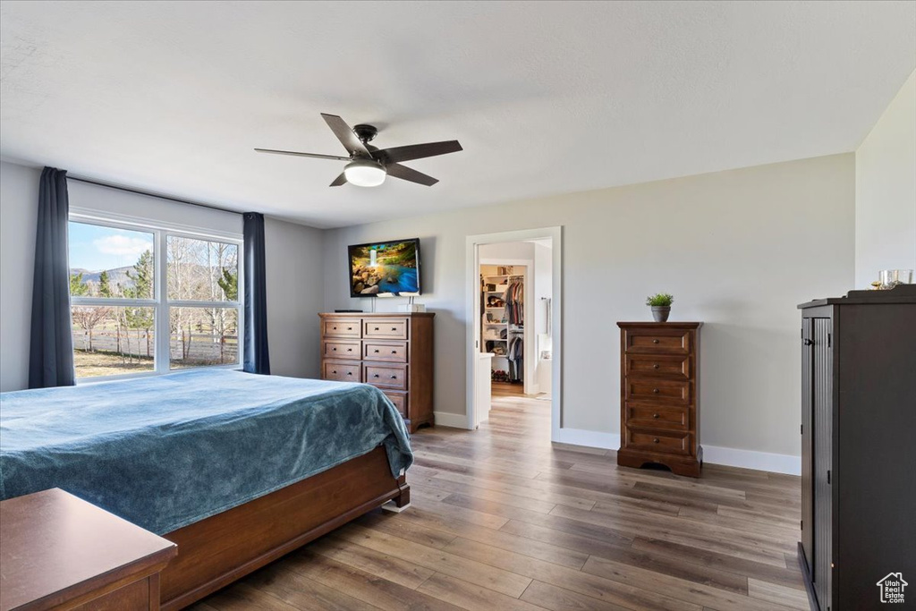 Bedroom with a walk in closet, ceiling fan, a closet, and dark wood-type flooring