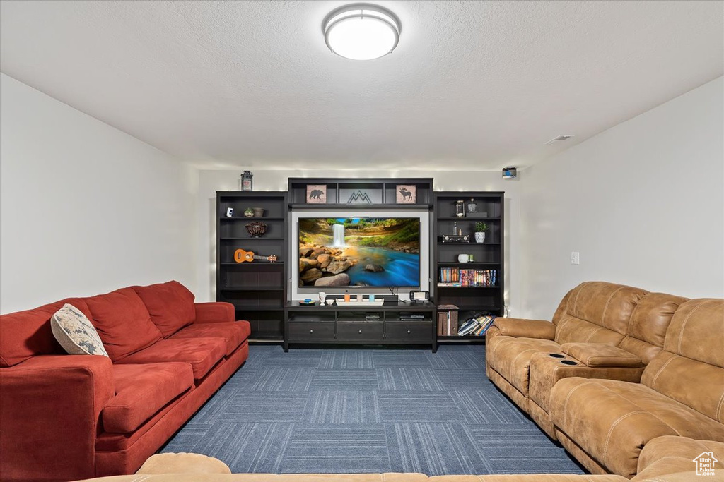 Living room with dark colored carpet