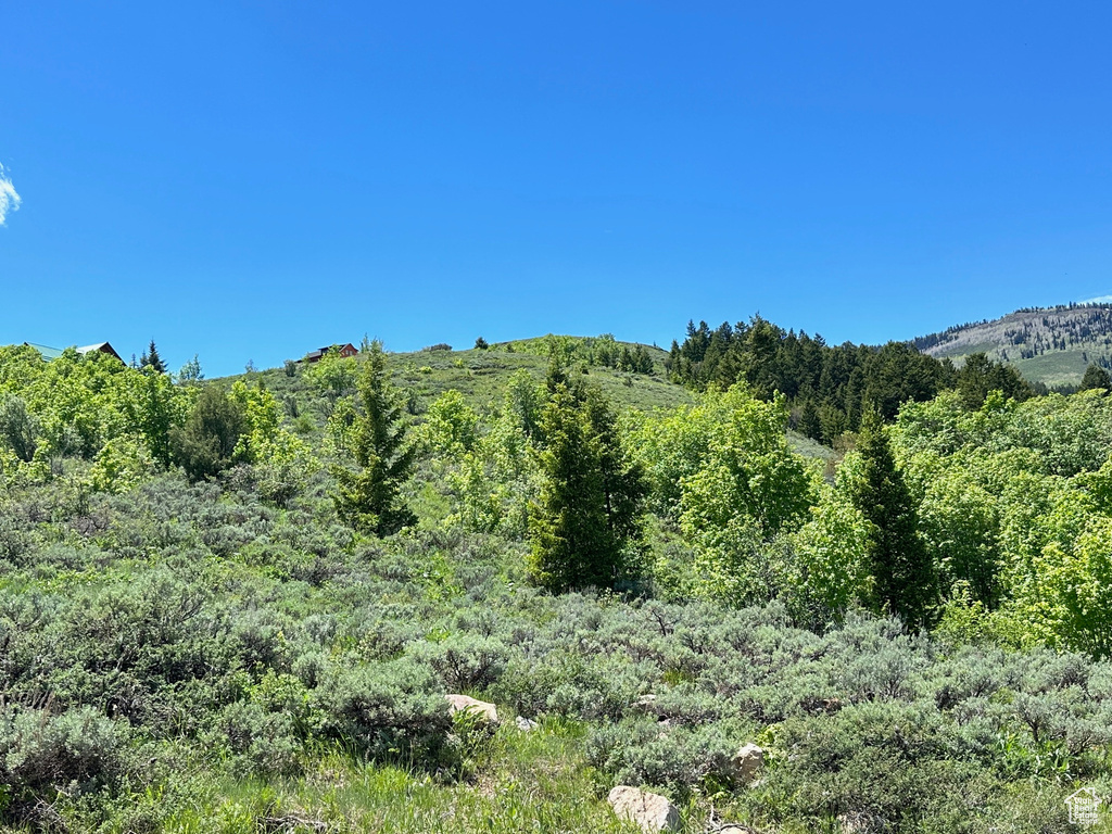 View of local wilderness with a mountain view