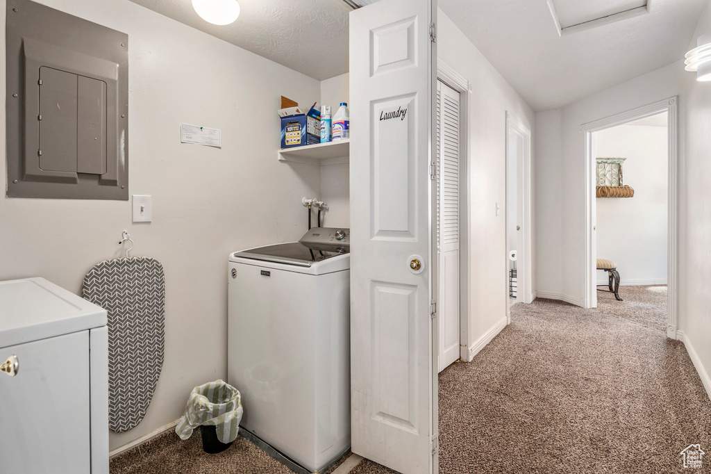 Laundry area with light carpet and independent washer and dryer