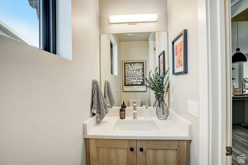 Bathroom with vanity with extensive cabinet space and hardwood / wood-style flooring