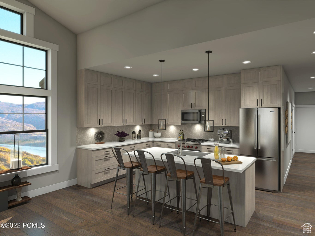 Kitchen with a healthy amount of sunlight, dark hardwood / wood-style floors, stainless steel appliances, and a kitchen island with sink