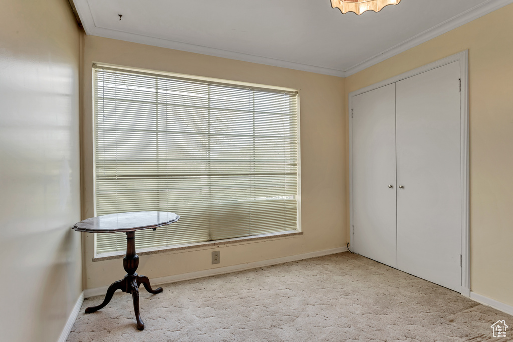 Interior space with crown molding, light carpet, and multiple windows