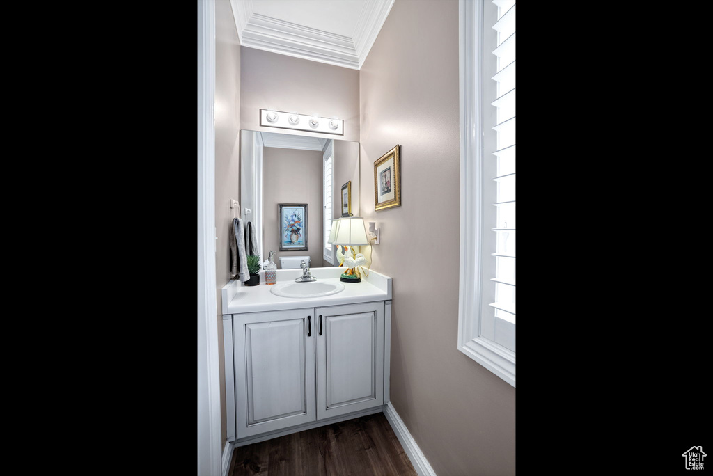 Bathroom with crown molding, hardwood / wood-style floors, and large vanity