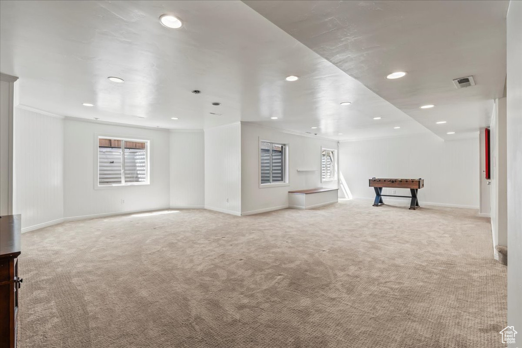 Additional living space featuring a wealth of natural light and carpet flooring