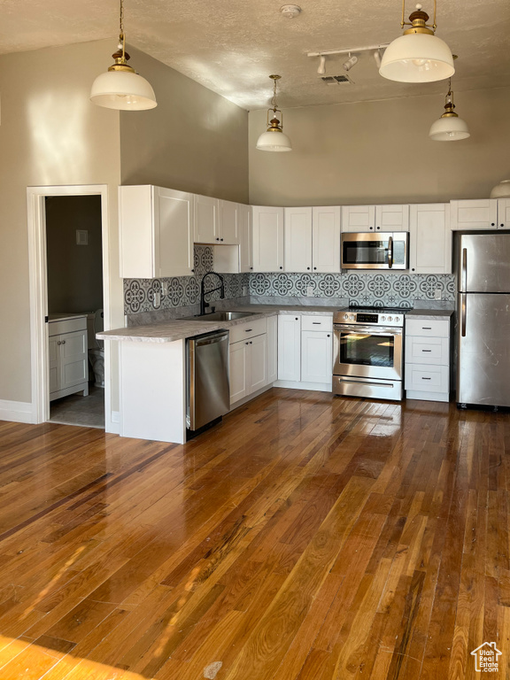 Kitchen featuring high vaulted ceiling, dark hardwood / wood-style flooring, appliances with stainless steel finishes, and tasteful backsplash