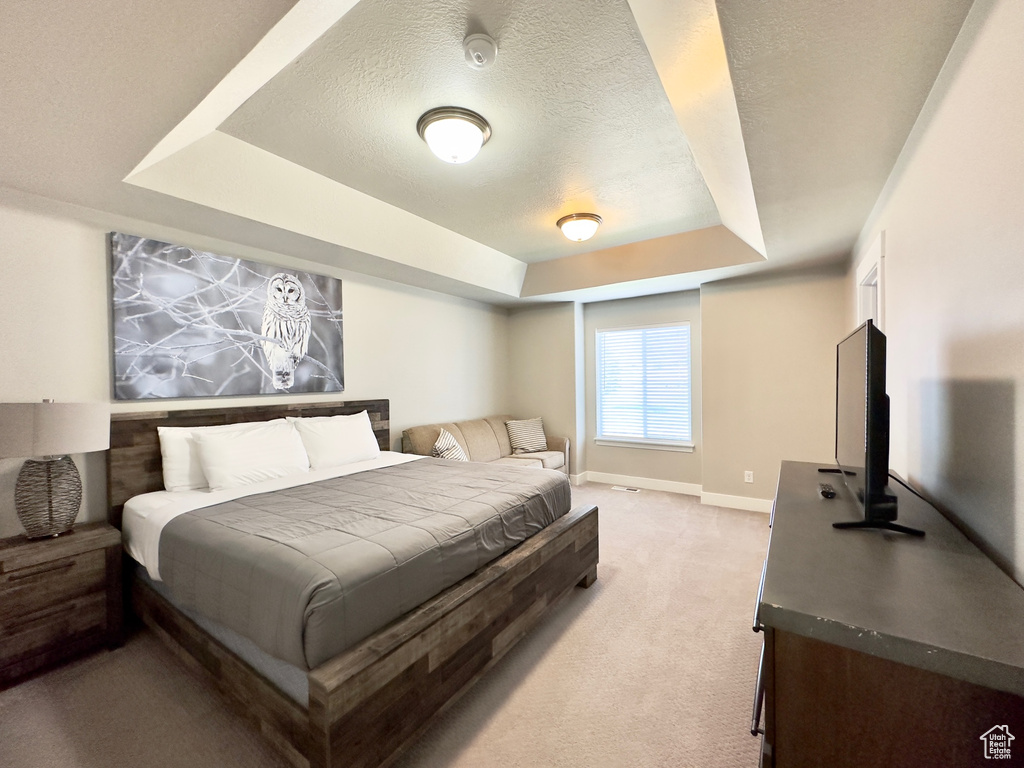 Carpeted bedroom featuring a textured ceiling and a tray ceiling