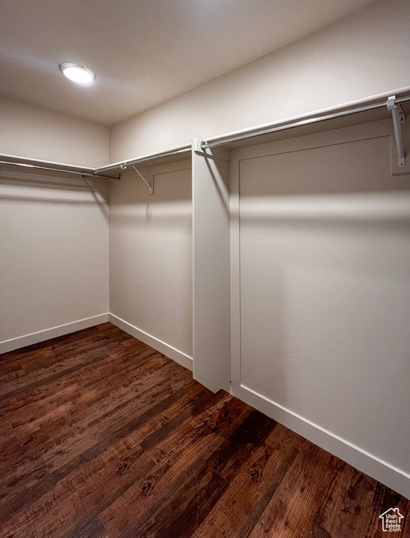 Walk in closet featuring dark hardwood / wood-style flooring