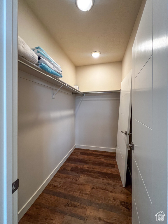 Spacious closet featuring hardwood / wood-style floors