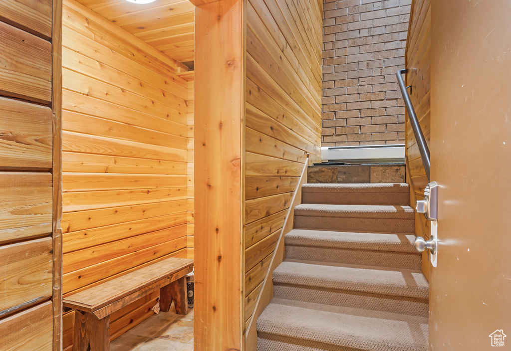 Stairs featuring wood walls