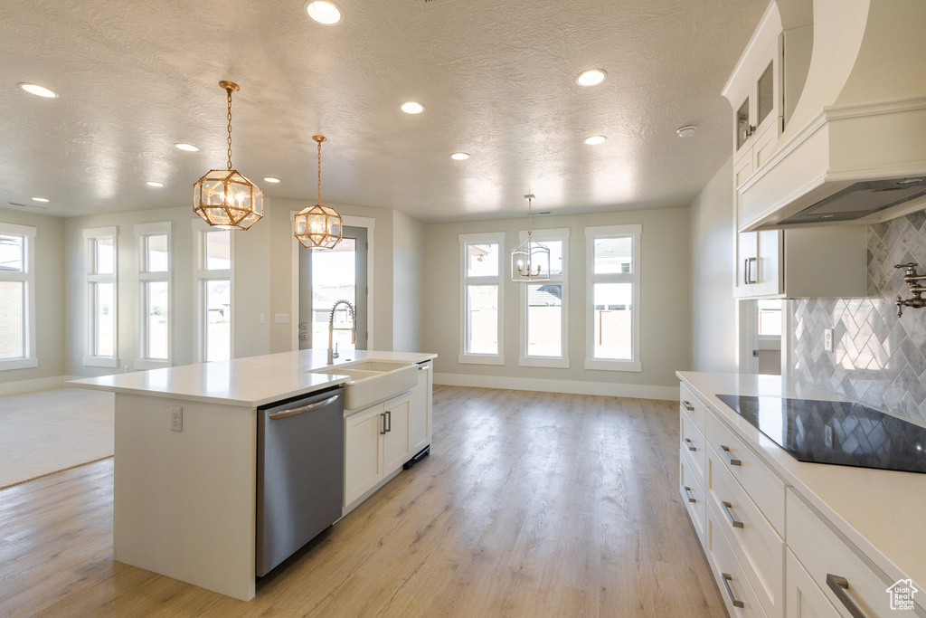 Kitchen featuring backsplash, a wealth of natural light, light wood-type flooring, and dishwasher