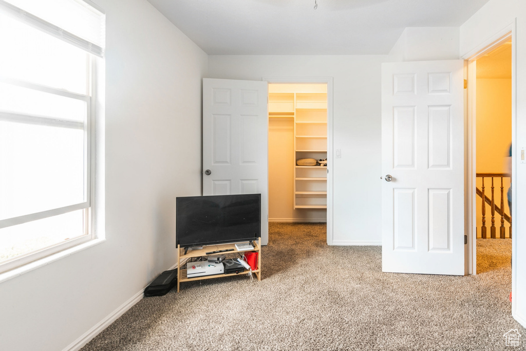 Interior space with light colored carpet, a spacious closet, and a closet