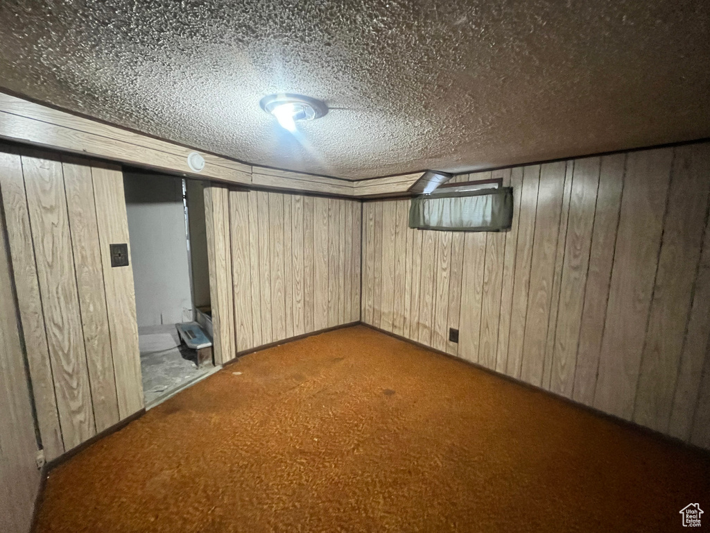 Basement featuring wood walls, carpet, and a textured ceiling