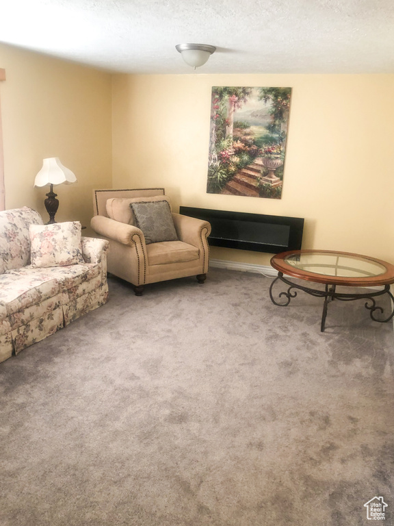 Living room featuring carpet flooring and a textured ceiling