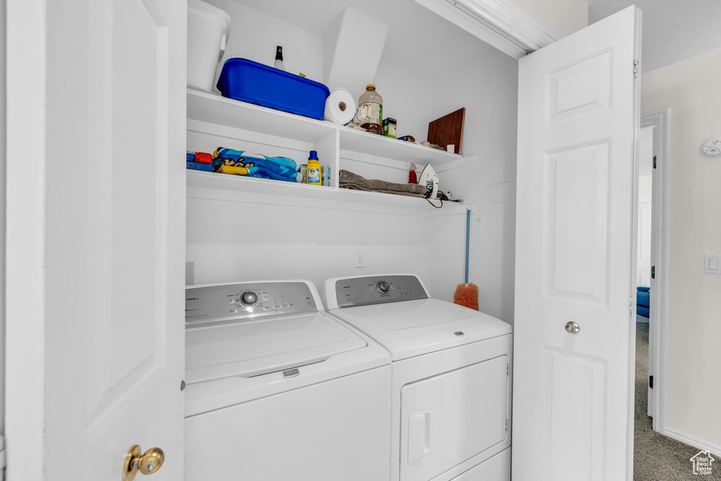 Laundry room with carpet and washer and dryer