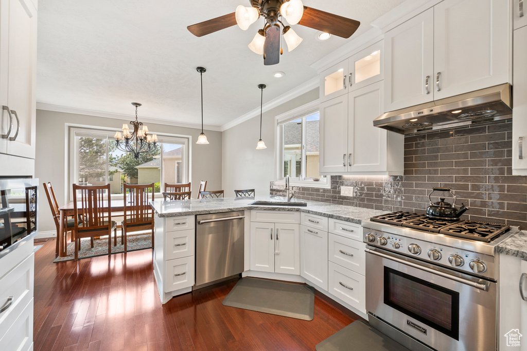 Kitchen with light stone counters, appliances with stainless steel finishes, ceiling fan with notable chandelier, white cabinetry, and dark hardwood / wood-style flooring