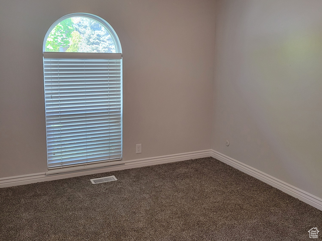 Unfurnished room featuring ornamental molding, ceiling fan, and carpet flooring