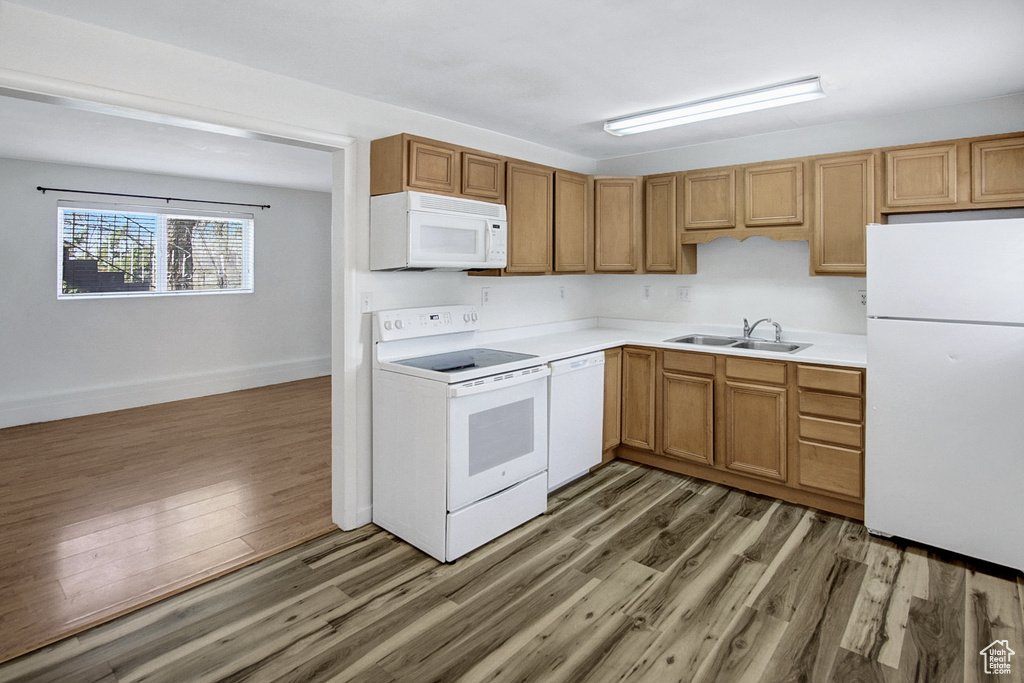 Kitchen with wood-type flooring, white appliances, and sink