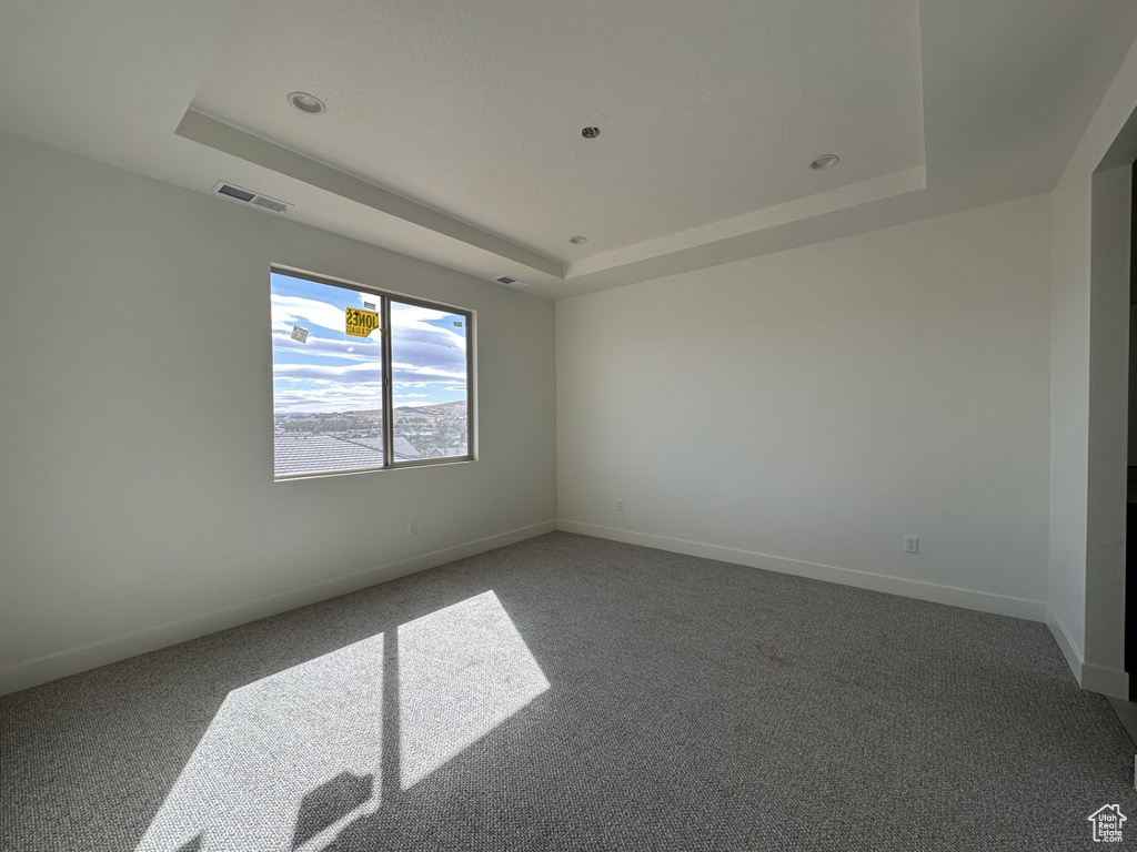 Carpeted spare room featuring a raised ceiling