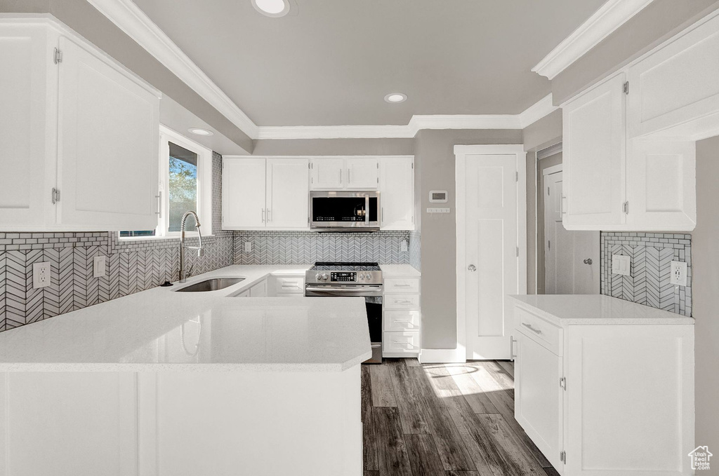 Kitchen featuring white cabinetry, dark hardwood / wood-style floors, appliances with stainless steel finishes, sink, and tasteful backsplash