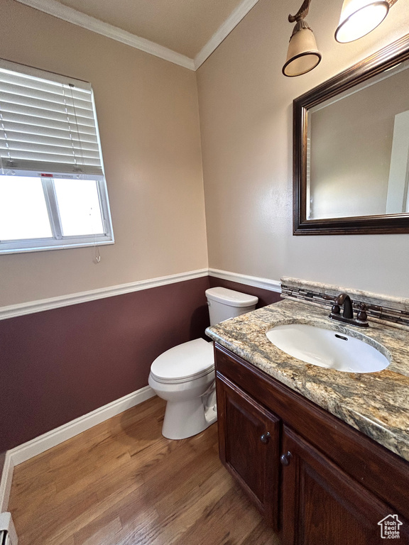 Bathroom featuring ornamental molding, wood-type flooring, toilet, and large vanity