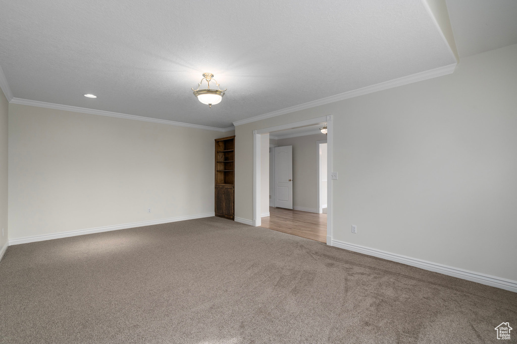 Spare room with crown molding and carpet