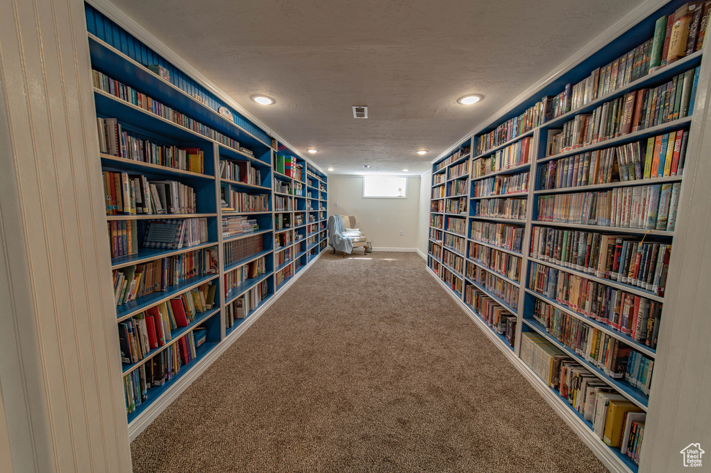 Living area with carpet and built in shelves