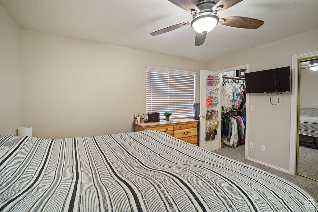 Bedroom with a closet, a walk in closet, ceiling fan, and carpet floors