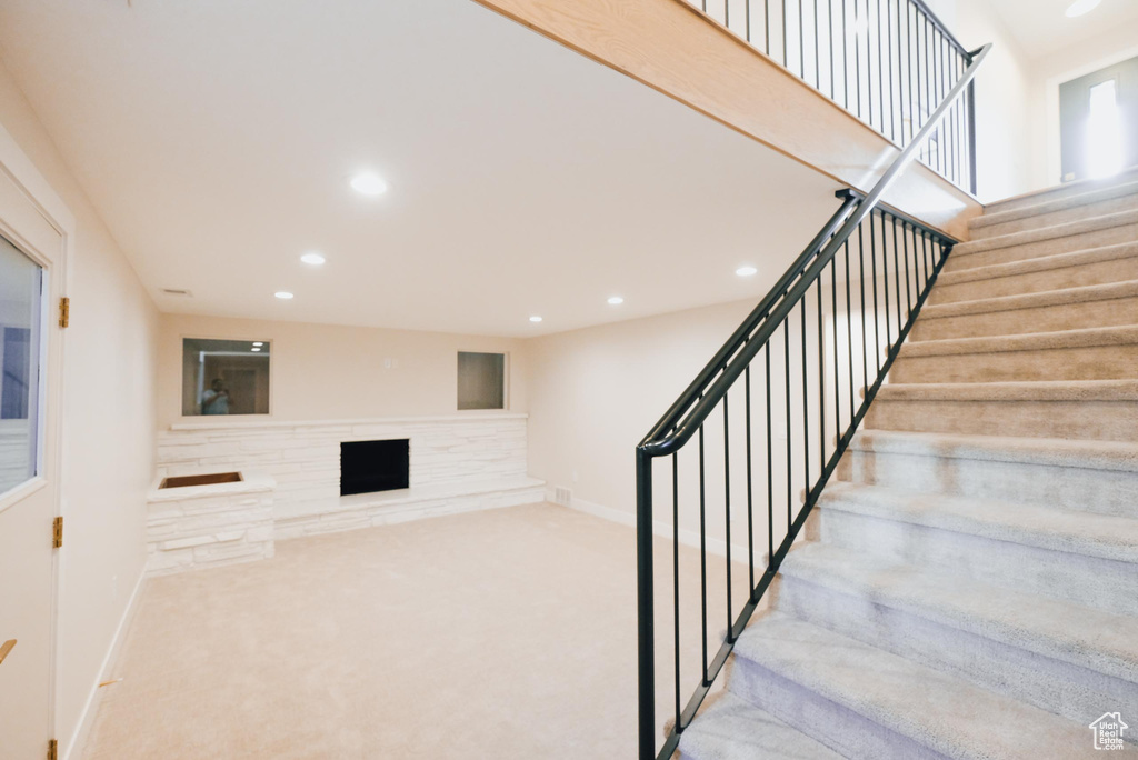 Staircase featuring carpet floors