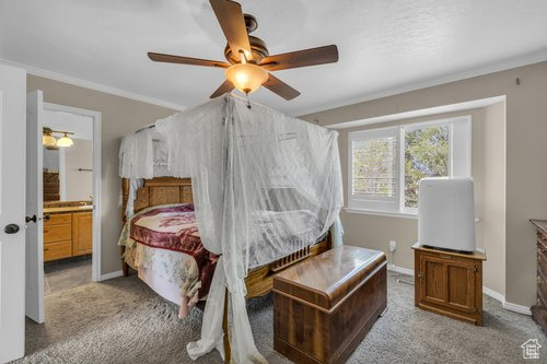 Bedroom with ornamental molding, ceiling fan, ensuite bathroom, and carpet flooring