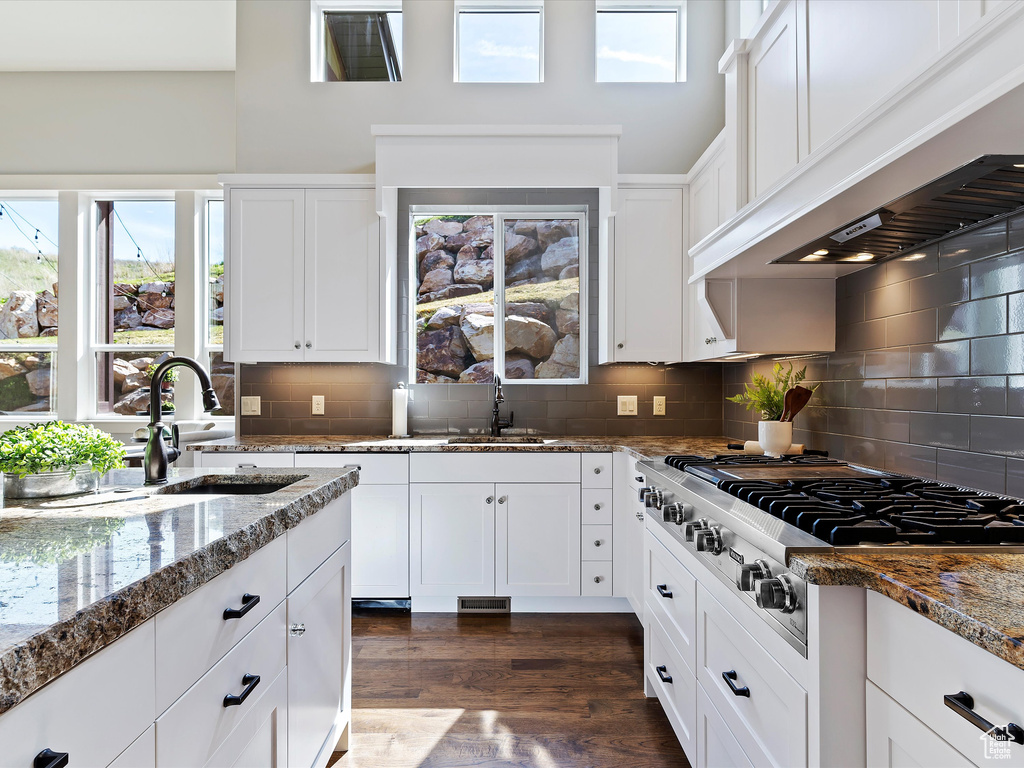 Kitchen featuring tasteful backsplash, stone counters, dark wood-type flooring, and white cabinetry