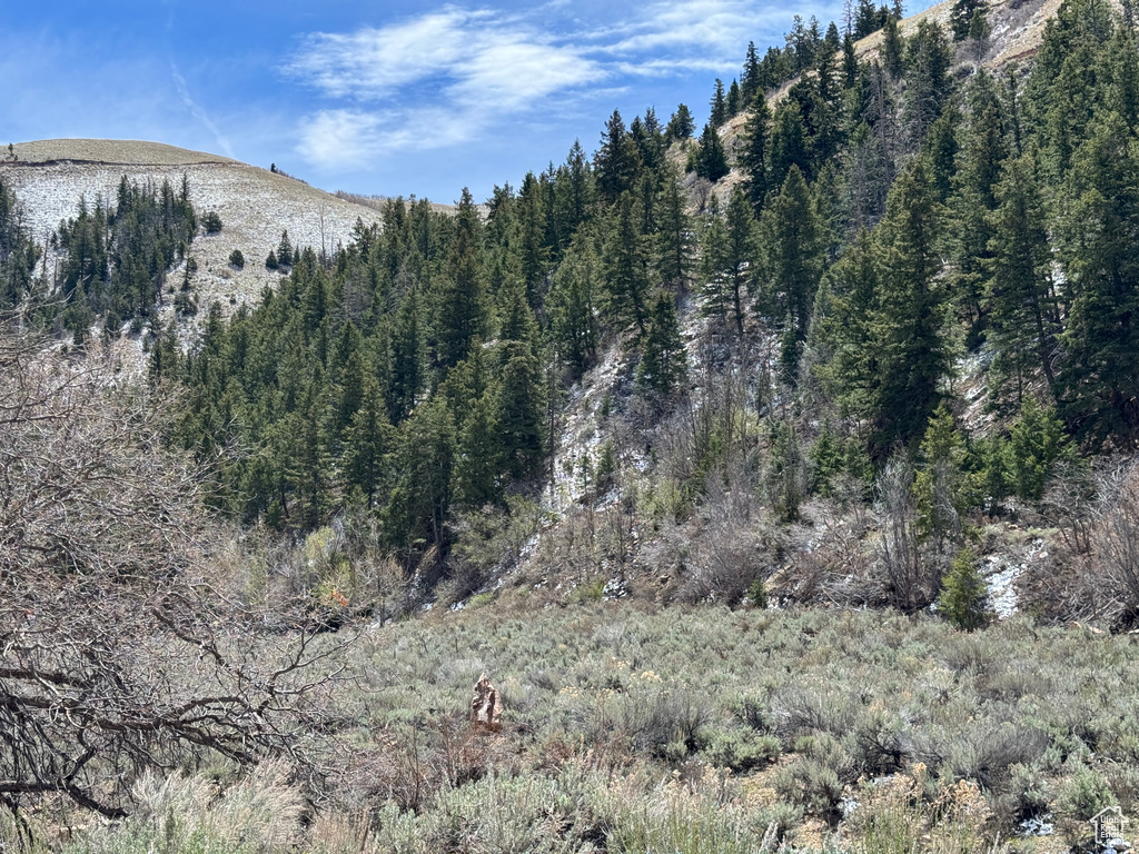 View of mountain view