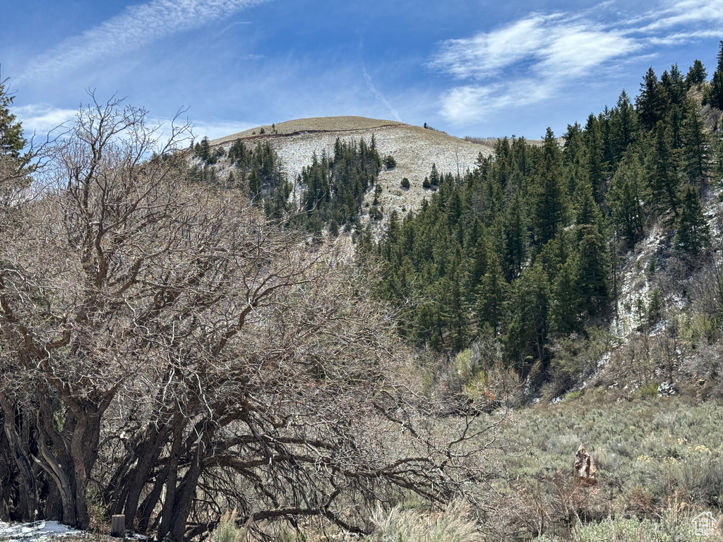 View of mountain view