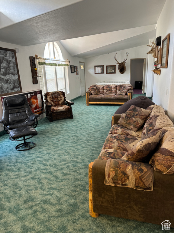 Carpeted living room with a textured ceiling and vaulted ceiling