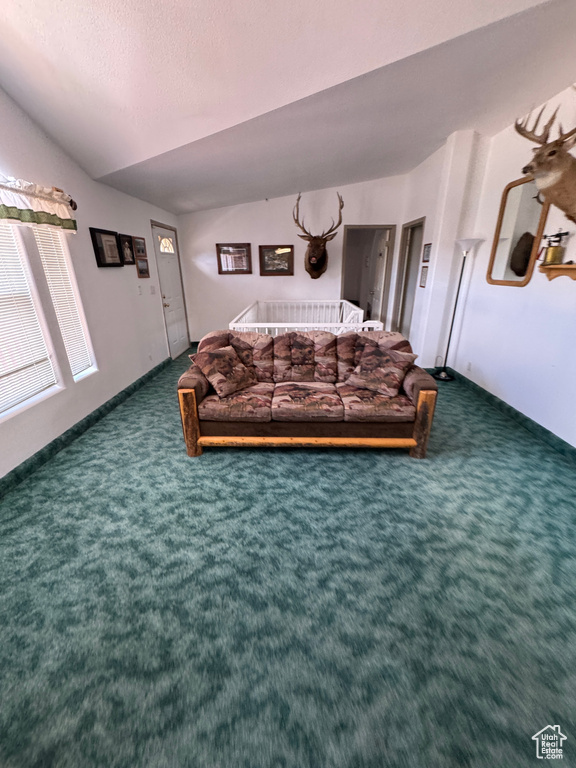 Carpeted bedroom with vaulted ceiling