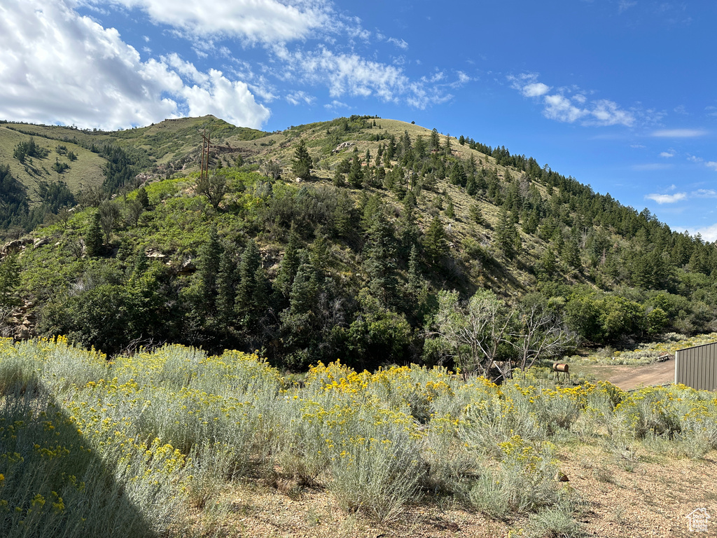 View of mountain feature