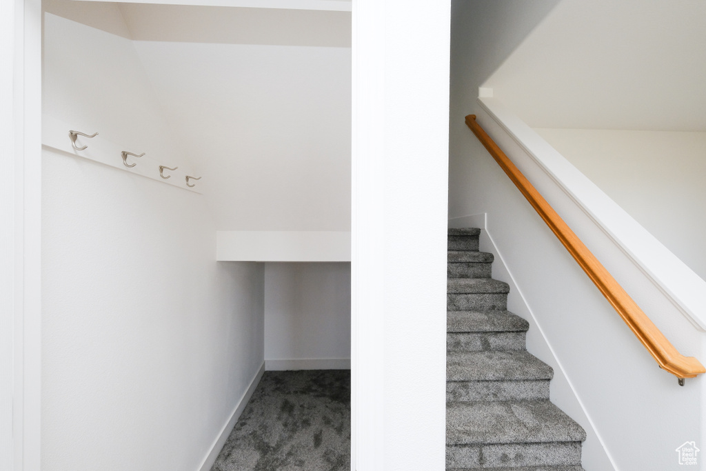 Stairs featuring carpet flooring