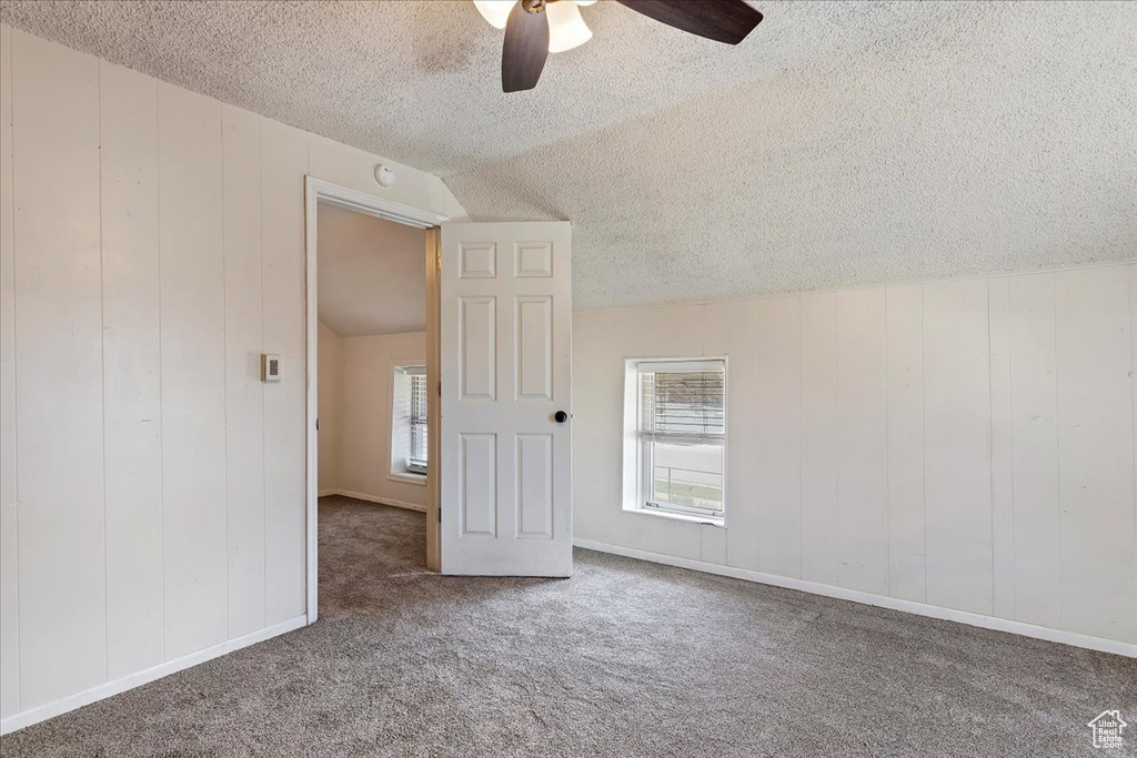 Additional living space with carpet, a textured ceiling, and lofted ceiling