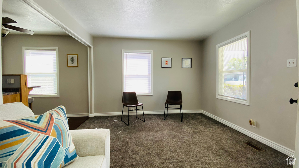 Living area with ceiling fan and dark colored carpet