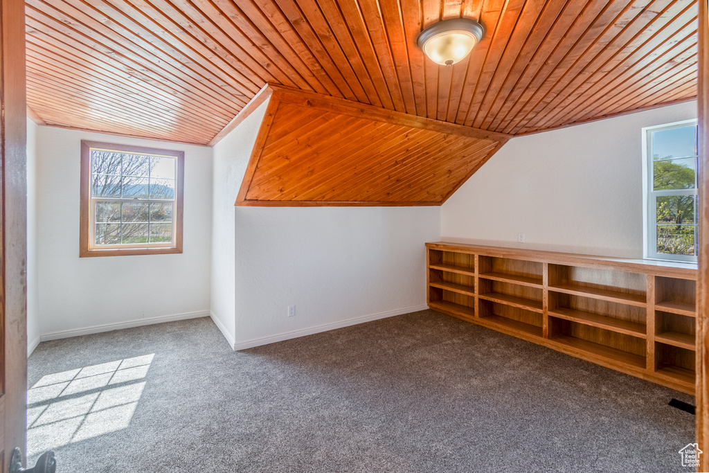 Additional living space featuring wood ceiling, lofted ceiling, a wealth of natural light, and carpet