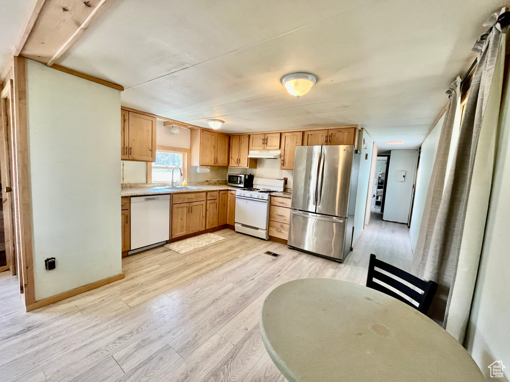 Kitchen with sink, appliances with stainless steel finishes, and light hardwood / wood-style flooring