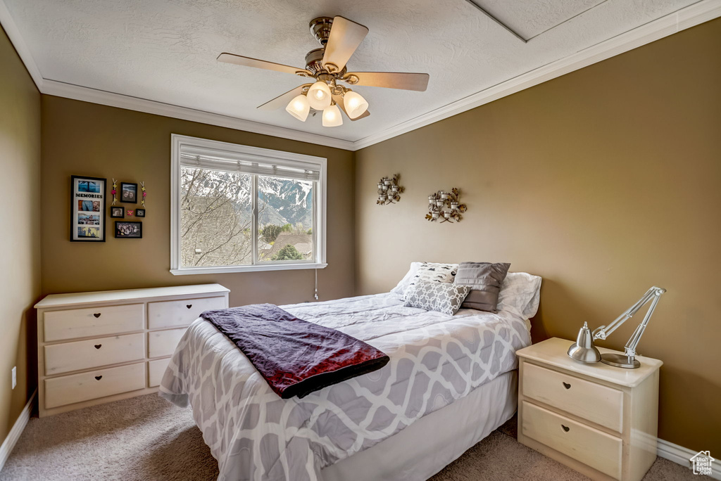 Carpeted bedroom featuring a textured ceiling, ceiling fan, and crown molding