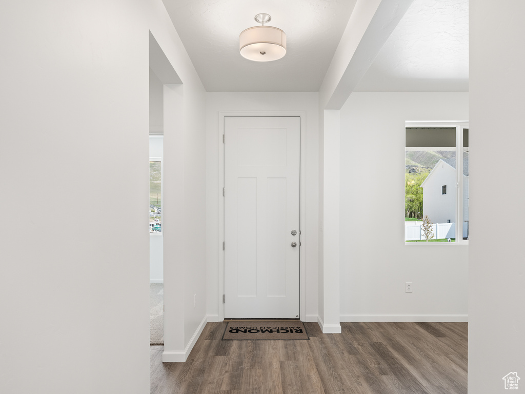 Entrance foyer with hardwood / wood-style floors