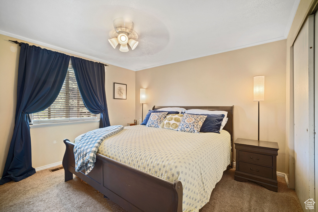 Carpeted bedroom with a closet, ceiling fan, and ornamental molding