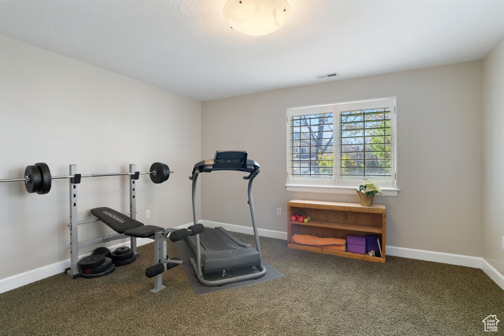 Workout room featuring carpet floors