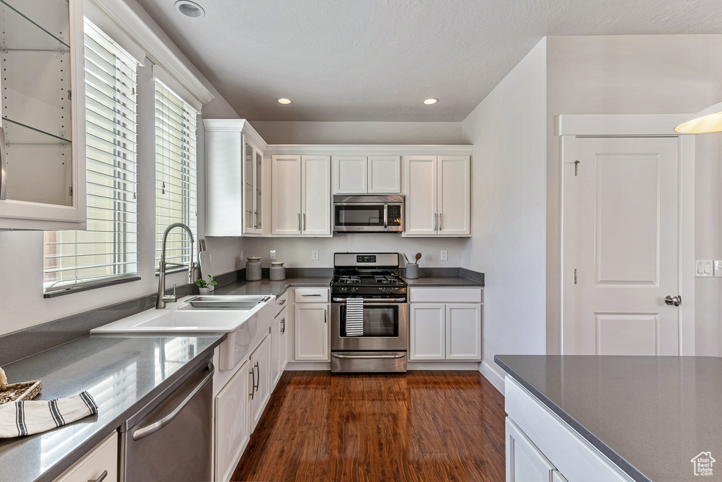 Kitchen featuring dark hardwood / wood-style flooring, white cabinetry, stainless steel appliances, and a wealth of natural light